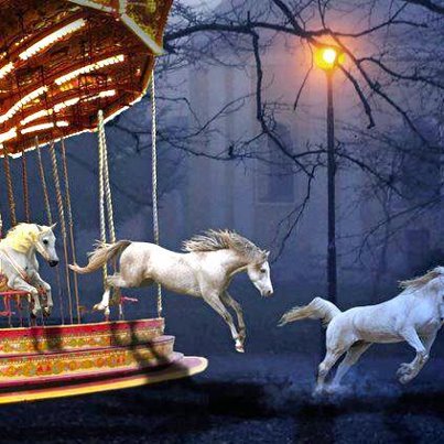 wonder horses
